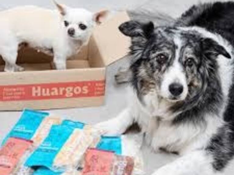 Familia Kast presenta querella contra startup de alimentos para mascotas por presunta estafa