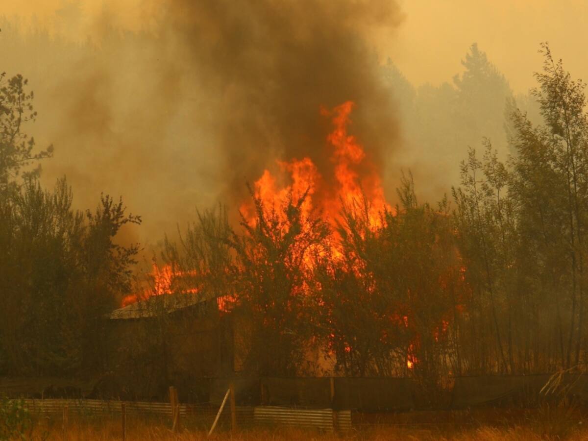 Alcalde de Lumaco denuncia intencionalidad en incendios forestales: «Tenemos información de personas encapuchadas prendiendo focos»