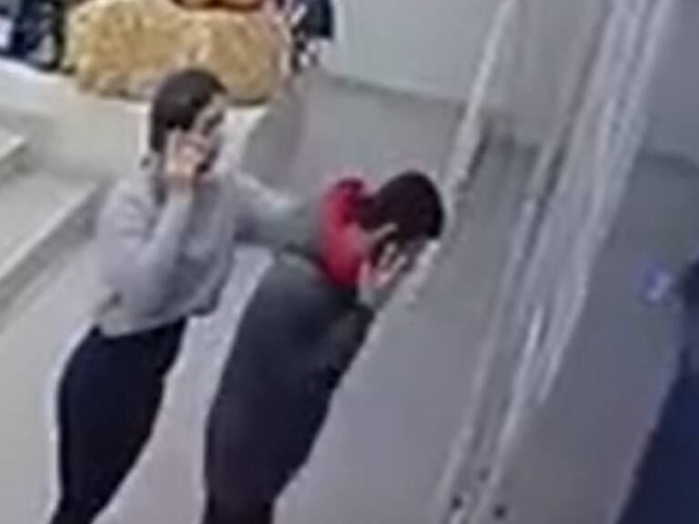 Violentas imágenes: Surge brutal registro de pelea previa a femicidio en Santiago Centro