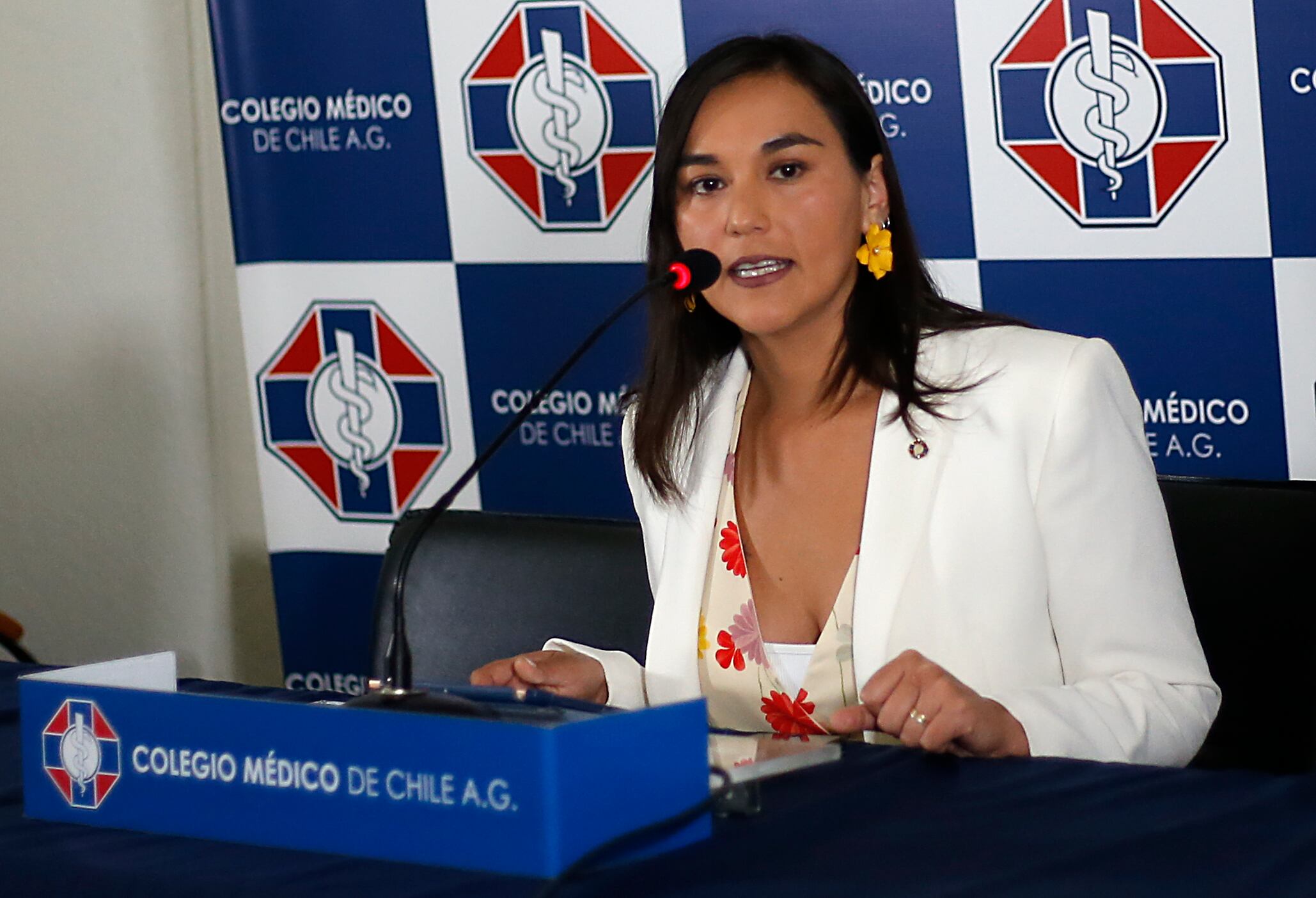 Presidenta del Colegio Médico, Izkia Siches