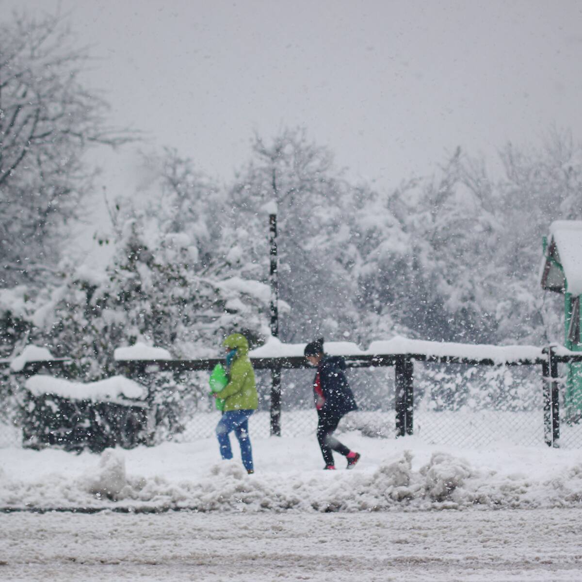 Senapred declara Alerta Amarilla en región de Aysén ante pronóstico de lluvias, nieve y fuertes vientos