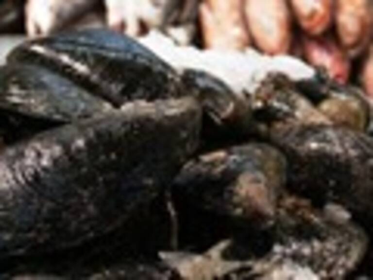 Terminal Pesquero funcionará en horario continuado hasta la noche de Viernes Santo