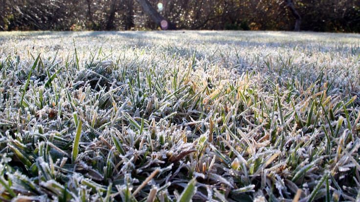 Pronostican heladas de hasta -9°C en Chile: estas serán las regiones afectadas durante la semana