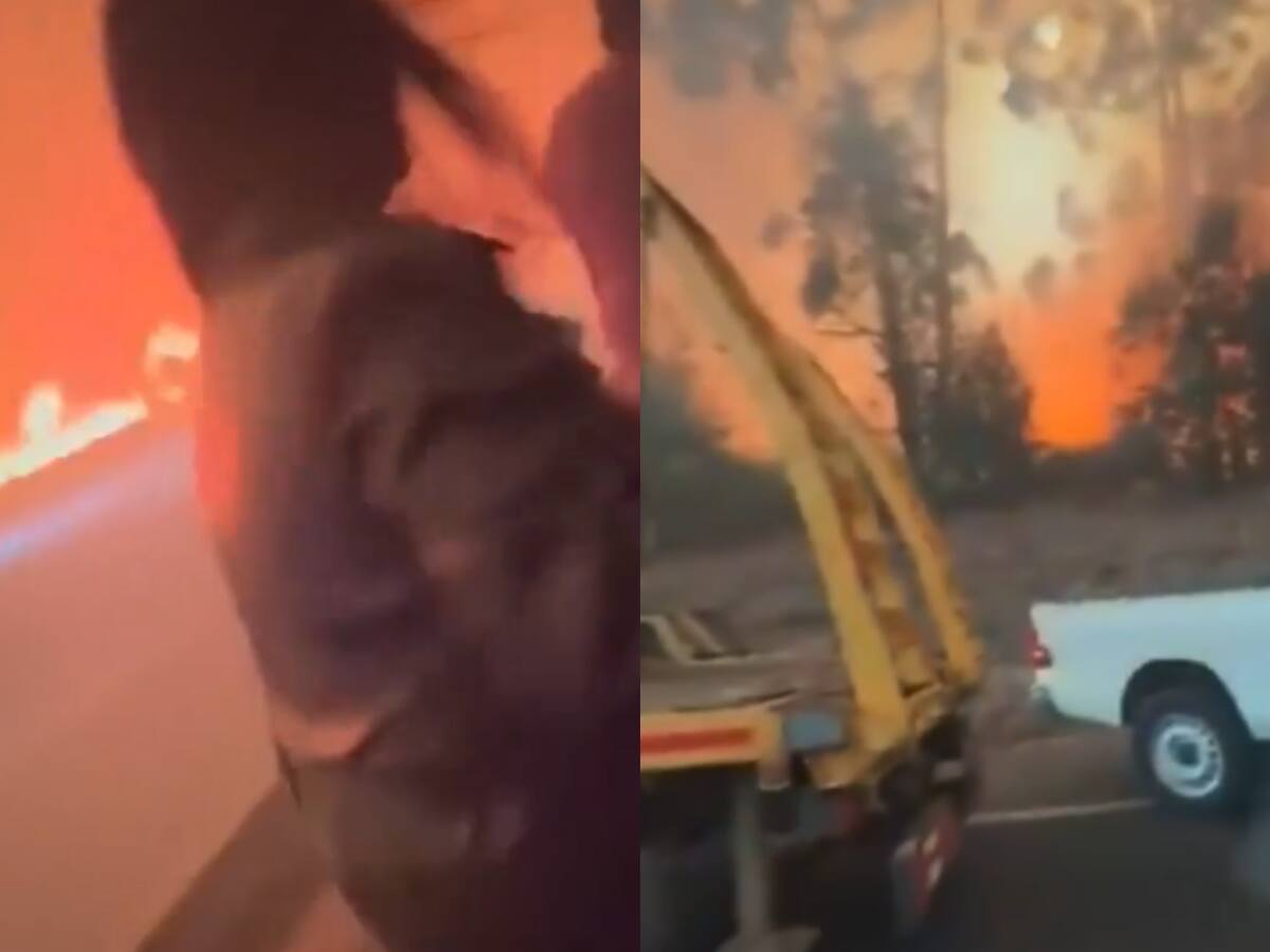 Minutos de terror: madre e hija registran momento en que quedan atrapadas en voraz incendio en La Araucanía