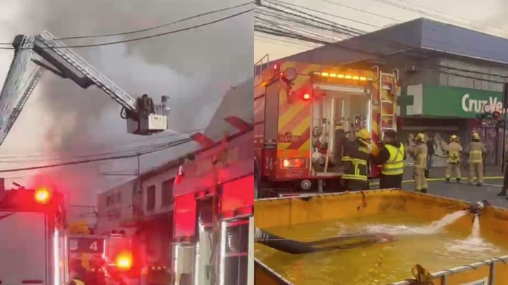 Incendio afecta al Mercado Central de Concepción: al menos 50 locales destruidos
