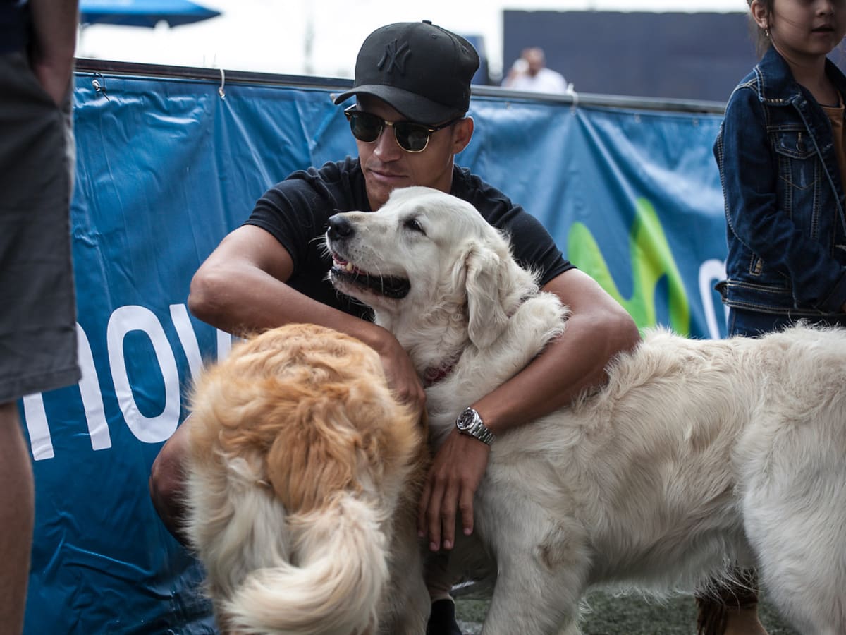 Chappi y Laika: Alexis Sánchez ya le puso nombre a sus dos nuevos perros