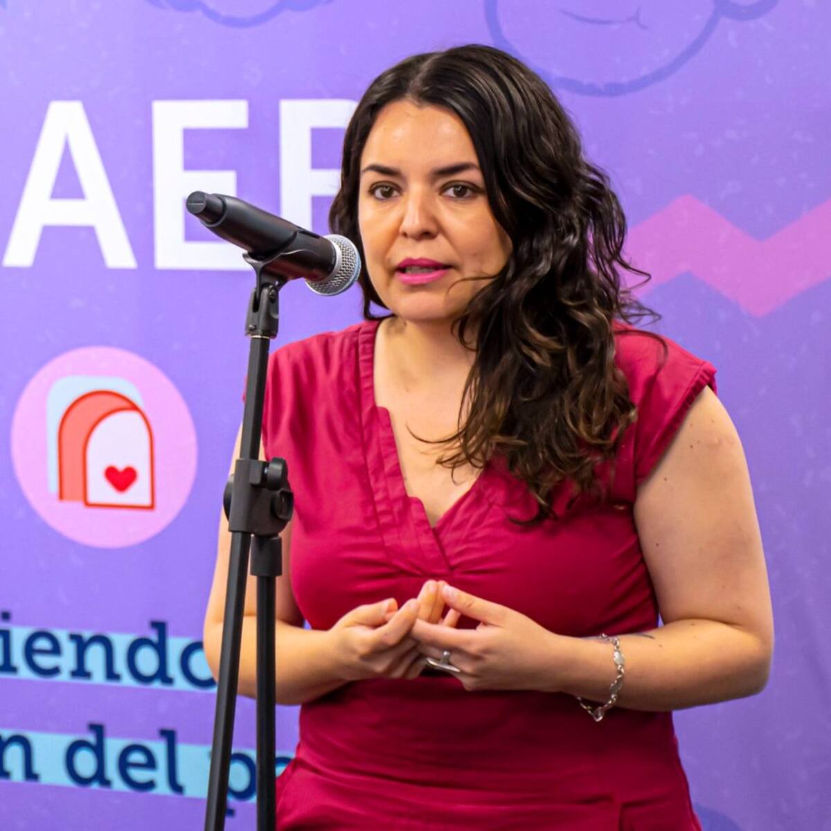 Exdirectora de Junaeb por investigación tras auditoría del gobierno: “Busca construir un relato para justificar el recorte de beneficios sociales”