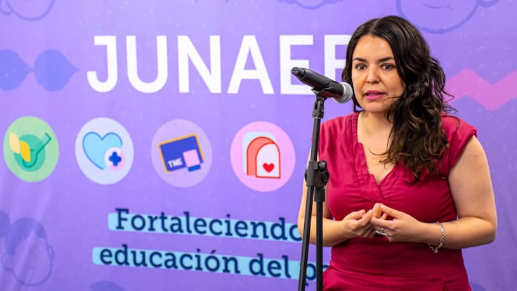 Exdirectora de Junaeb por investigación tras auditoría del gobierno: “Busca construir un relato para justificar el recorte de beneficios sociales”