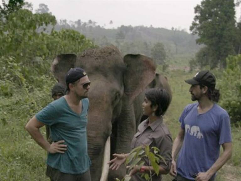 «Antes que sea tarde», el documental de Leonardo DiCaprio sobre el cambio climático