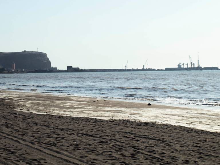 Hábitat de las tortugas verdes: anuncian creación de Reserva Marina La Puntilla-Playa Chinchorro