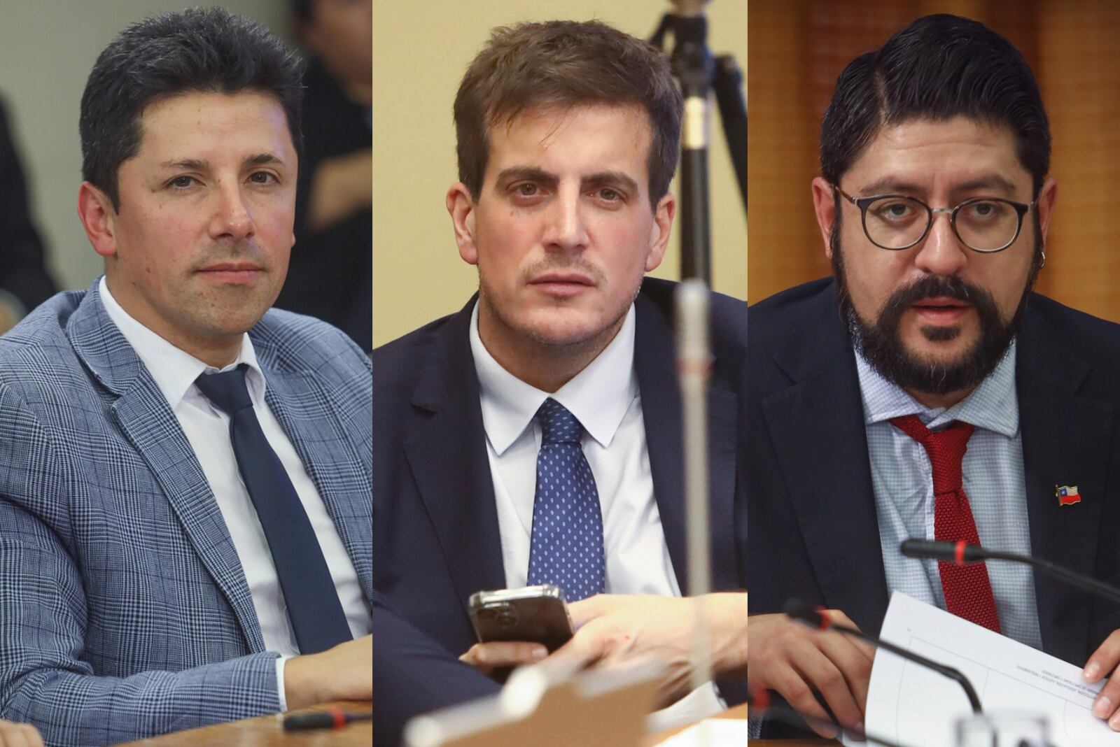 Parlamentarios RN