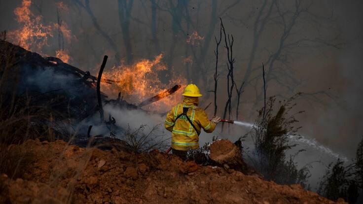 15 viviendas han sido evacuadas ante incendio registrado en la comuna de Monte Patria