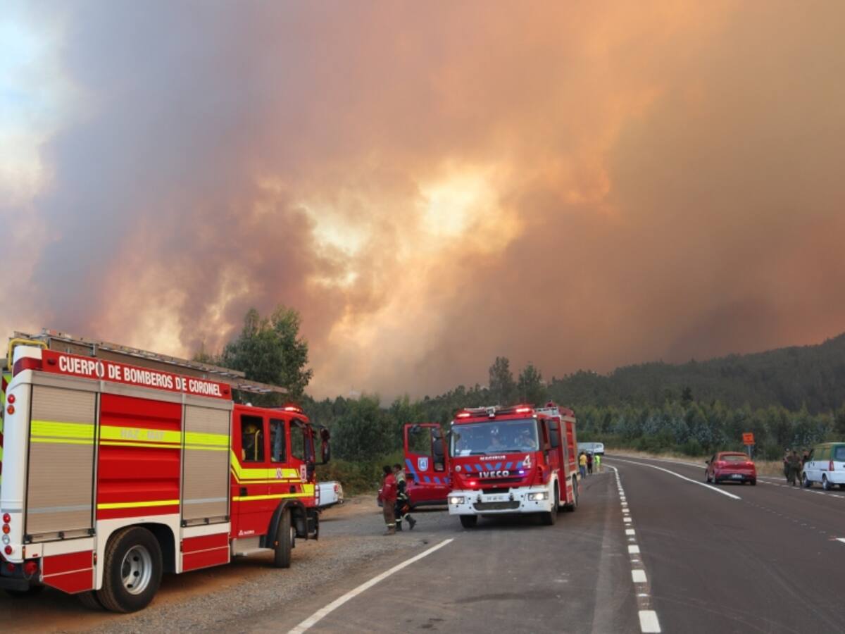Balance incendios forestales: siniestros aumentan a 302 y han consumido 452.857 hectáreas