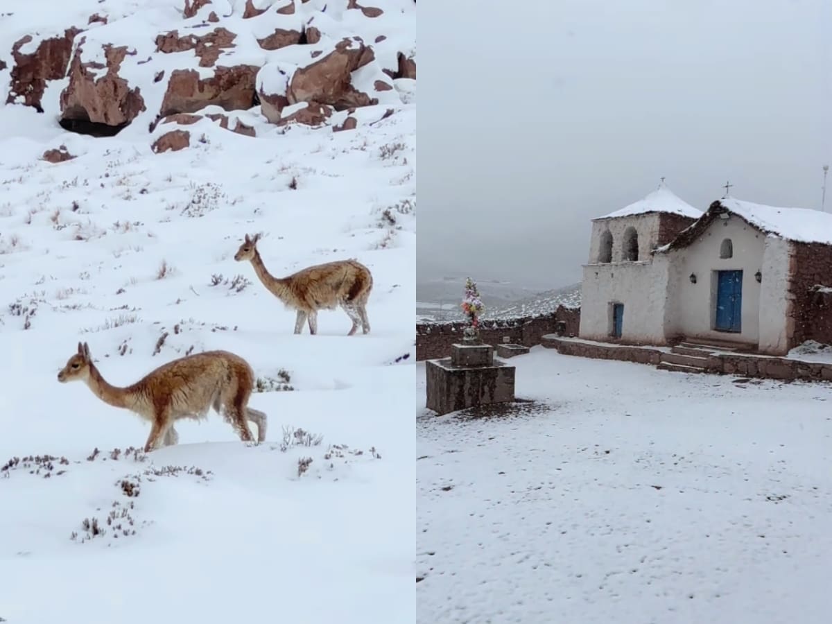 Del desierto a un manto blanco: nieve cubre el altiplano de Antofagasta y deja llamativas postales en Machuca