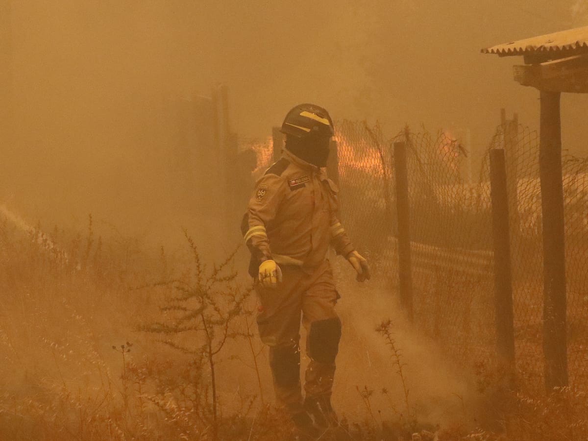 Incendios forestales en Valparaíso y Quilpué: hay más de 2.000 hectáreas consumidas, 10 damnificados y 7 viviendas destruidas