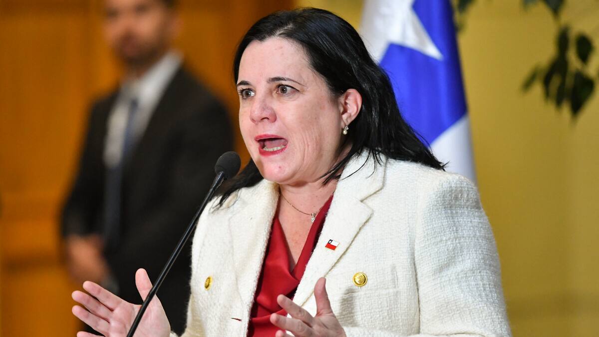 Diputados de oposición anuncian interpelación contra ministra de Seguridad Trinidad Steinert