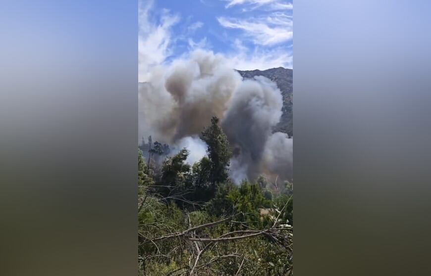 Alerta Roja en San José de Maipo por incendio forestal