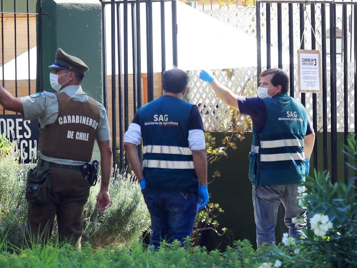 Vecino de Las Condes sorprendido jugando golf en una plaza: «Salgo a estirar las patas»
