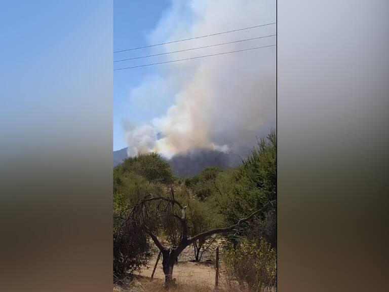 Senapred activa alerta SAE y pide evacuar sector de Melipilla por incendio: ha consumido tres hectáreas