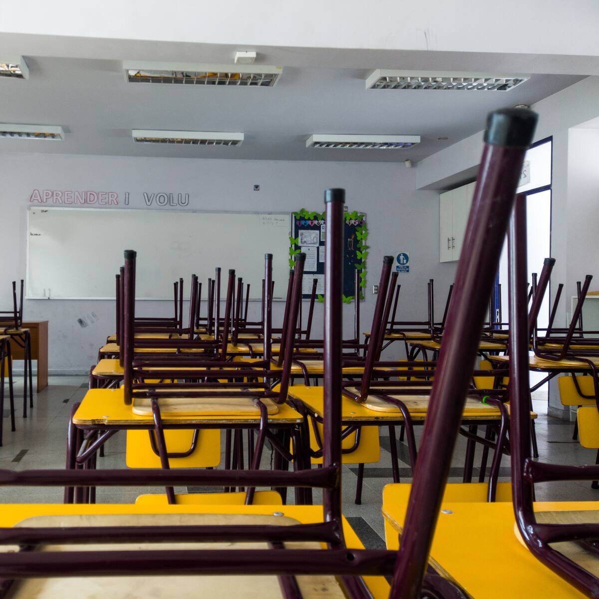 El escándalo en educación destapado por Contraloría: ¿Dónde terminaron los millones destinados a planes escolares en Mulchén?