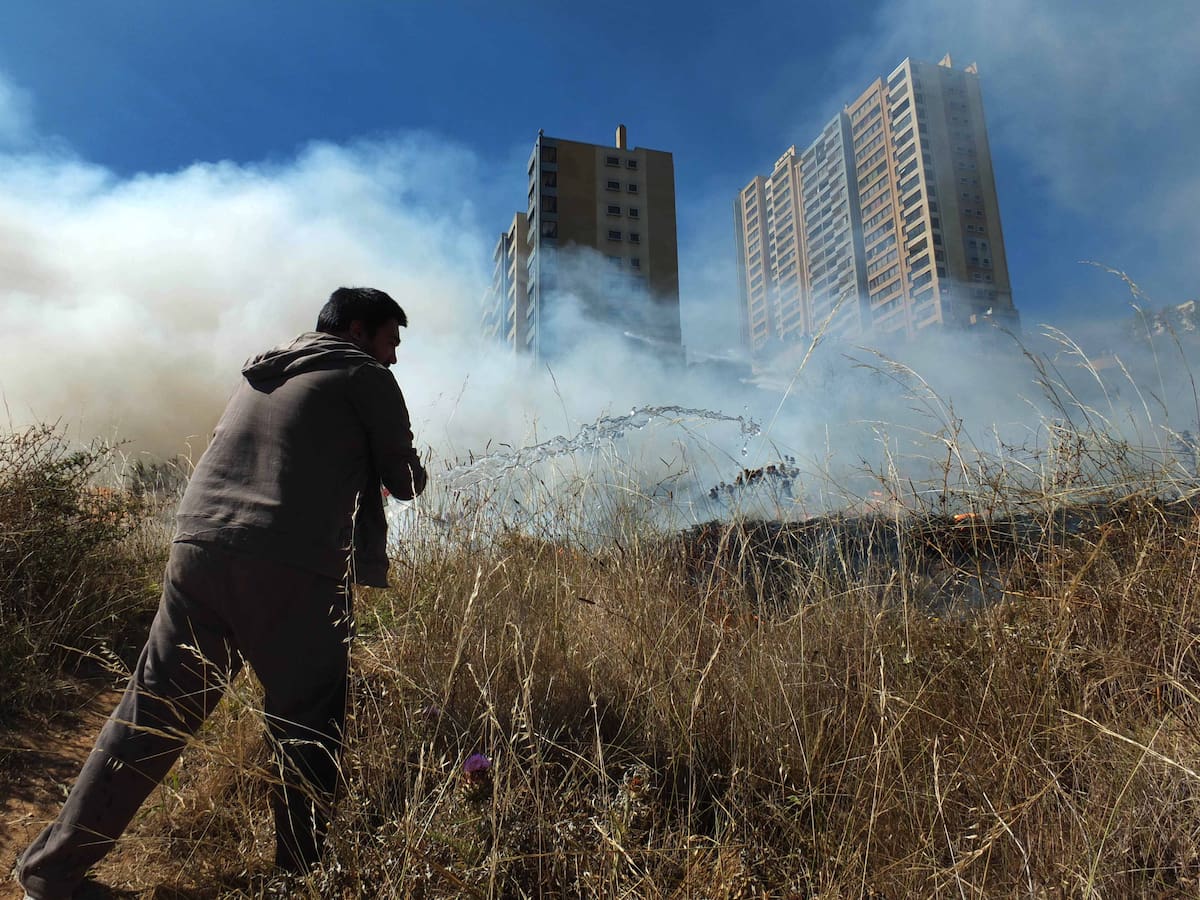 Para prevenir incendios forestales: Conaf decreta restricción para el uso del fuego en 12 regiones del país
