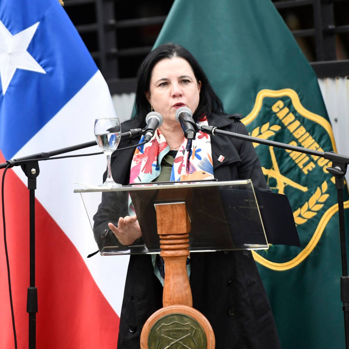 Ministra Steinert reconoce déficit de 12 mil carabineros en las calles y anuncia refuerzo policial