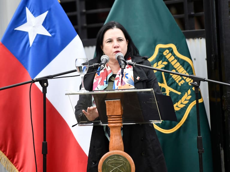 Ministra Steinert reconoce déficit de 12 mil carabineros en las calles y anuncia refuerzo policial