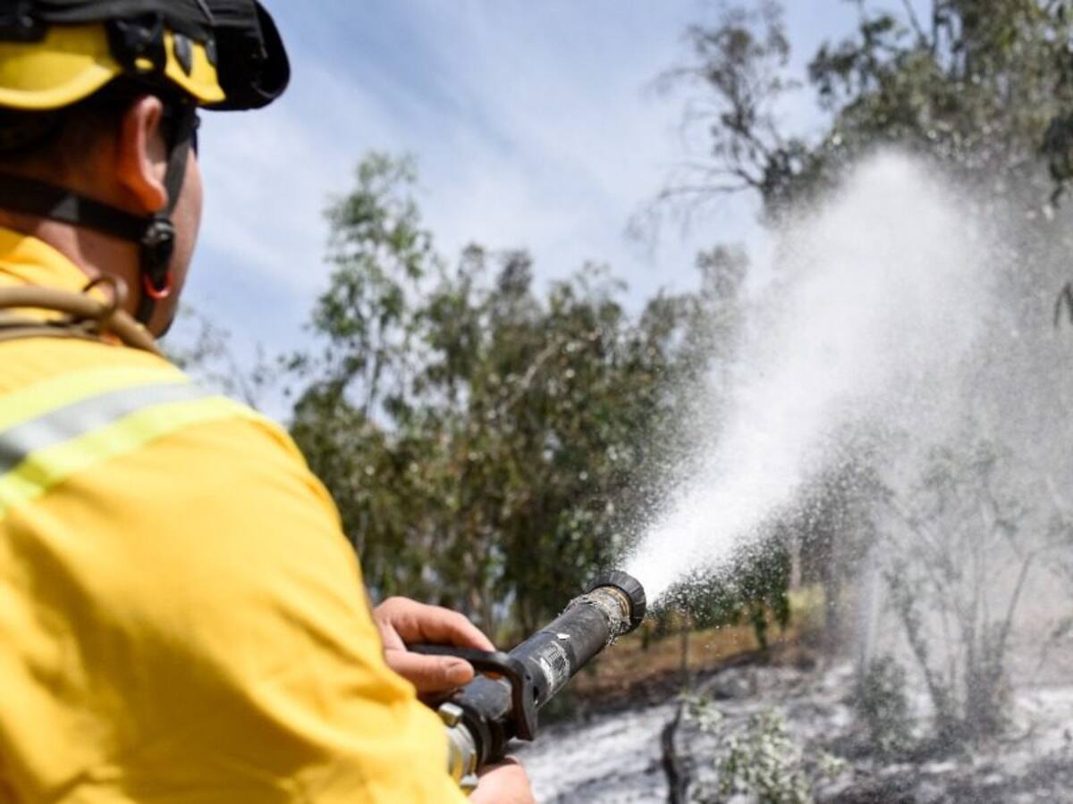 Incendios forestales: informan Alerta Temprana Preventiva para las regiones del Biobío, Valparaíso y Ñuble