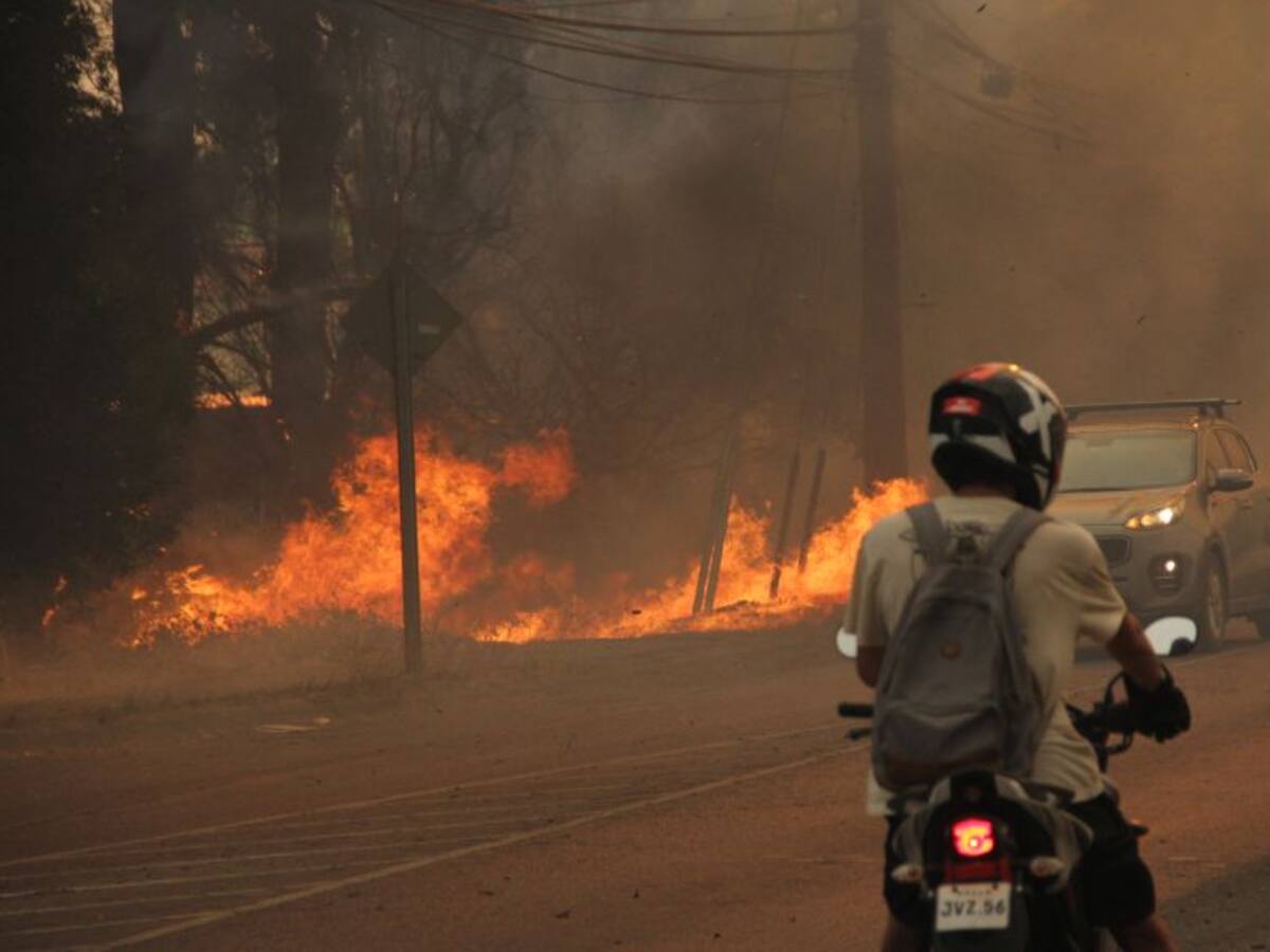 30 detenidos, 24 fallecidos y 389.061 hectáreas afectadas: el balance de los incendios en el sur