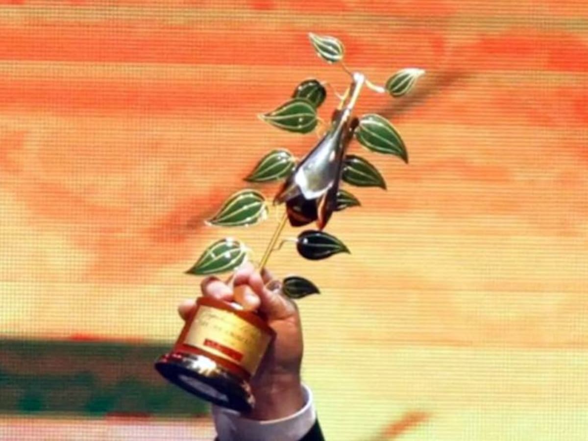 Copihue de Oro 2024: Estos son todos los nominados a este popular premio