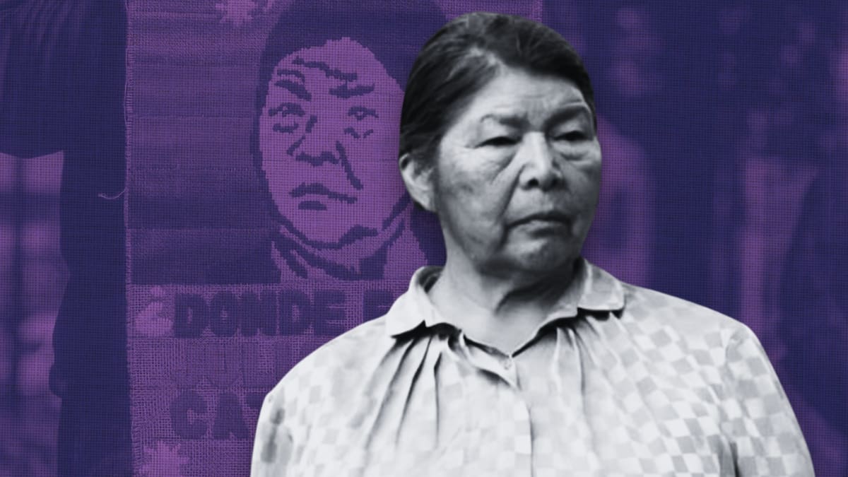 Caso Julia Chuñil: así habría ocurrido el homicidio de la dirigenta mapuche cometido por su propio hijo