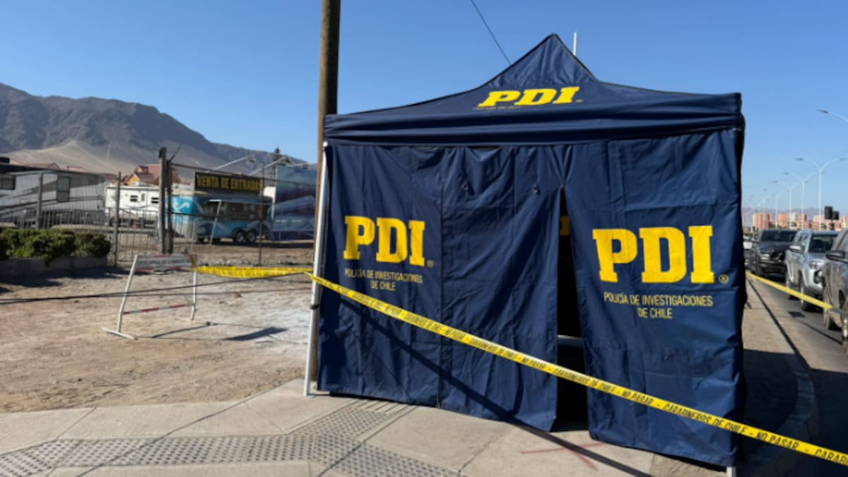 Mujer y su perro mueren electrocutados en la vía pública en Antofagasta