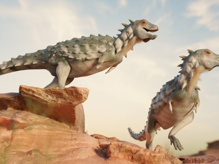 Reconstrucción del Jakapil kaniukura, el primer tireóforo de Sudamérica