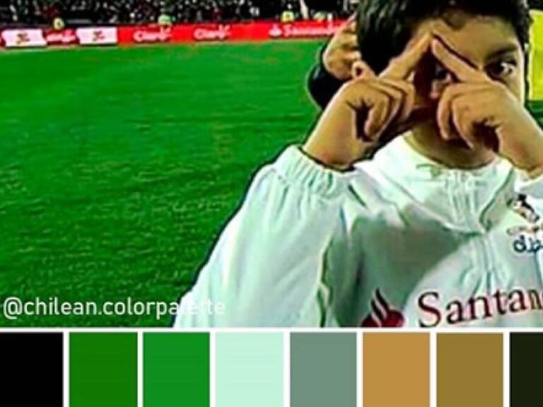 ¡Causa furor en Instagram! Esta página te muestra la paleta de colores de reconocidos virales chilenos