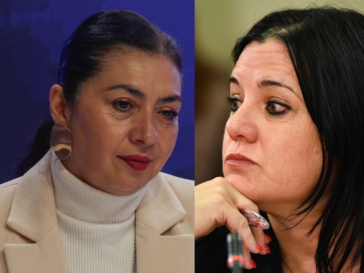 El origen del conflicto entre Steinert y Peña, exprefecta general de la PDI, que terminó con su salida de la institución