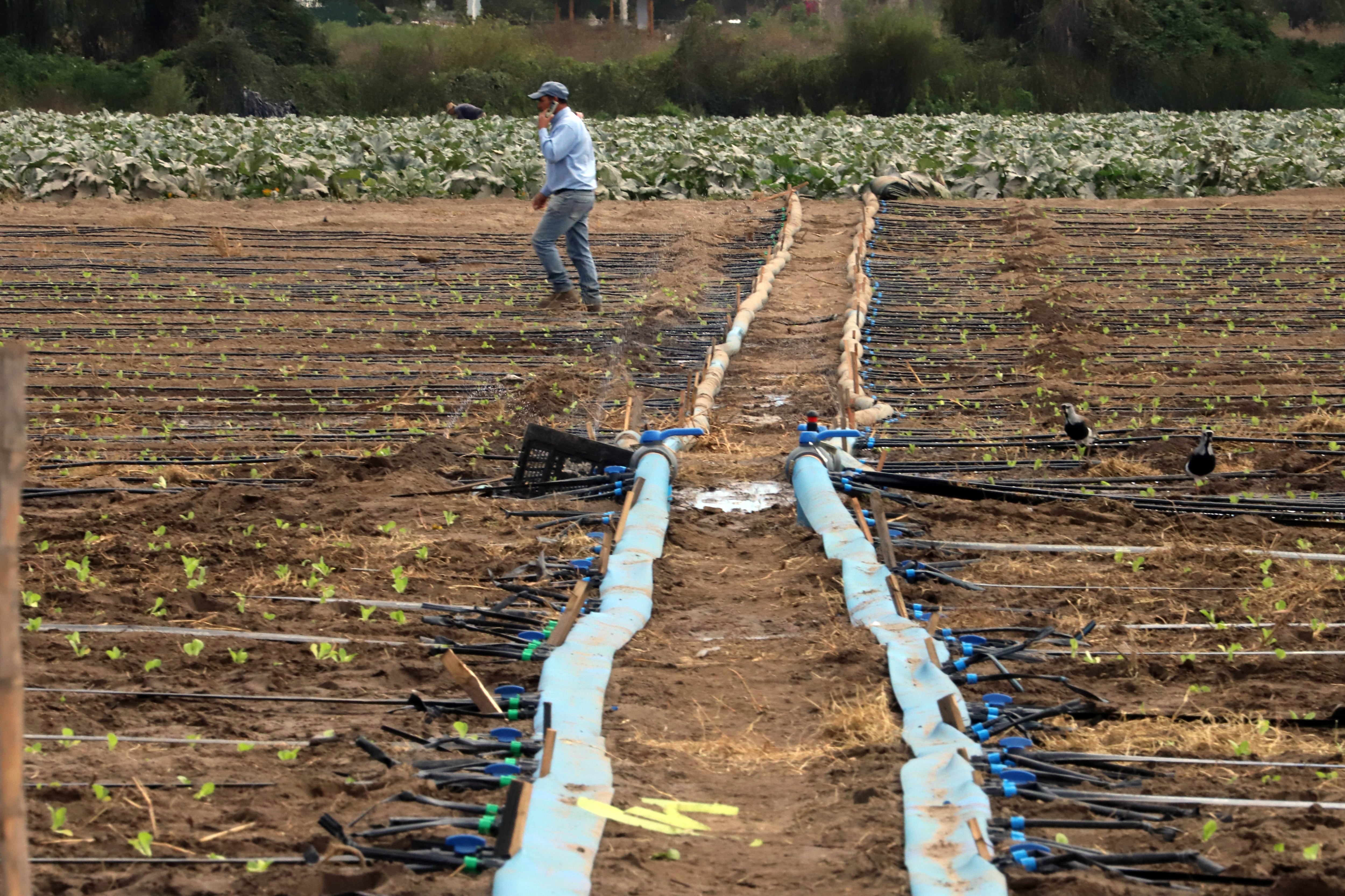 Agricultores