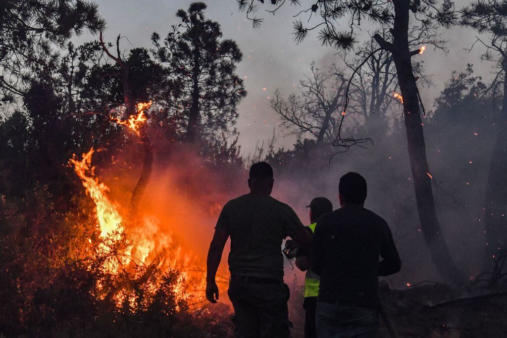 Voluntarios intentan controlar el fuego cerca de la frontera de Argelia y Túnez