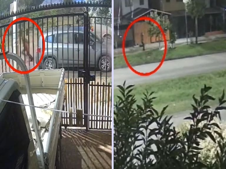 Excarabinero mata a un sujeto que intentó robarle el vehículo mientras trabajaba como conductor de aplicación: hay una mujer detenida