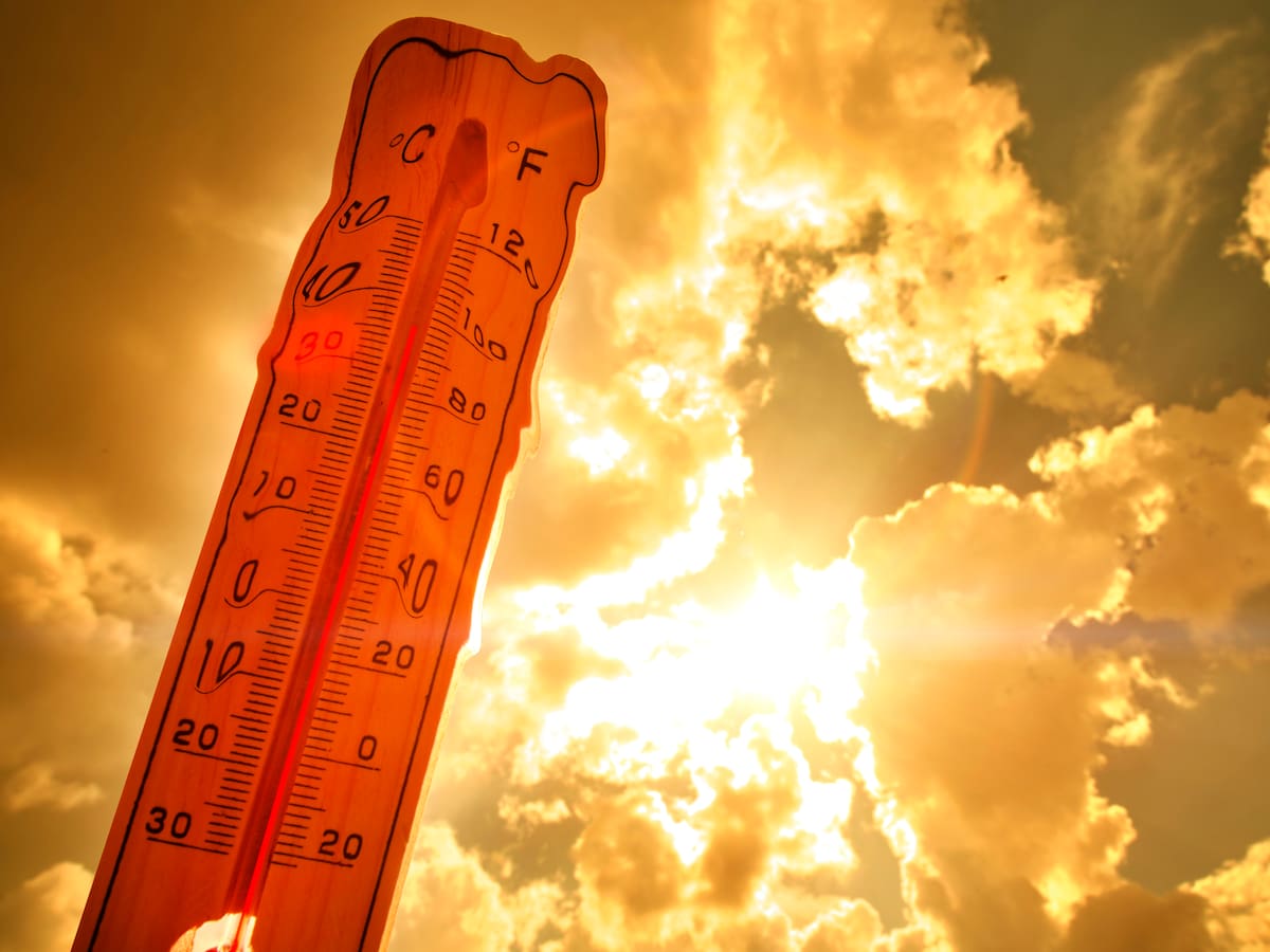 Calor extremo en La Araucanía: declaran Alerta Roja en Malleco por evento de altas temperaturas