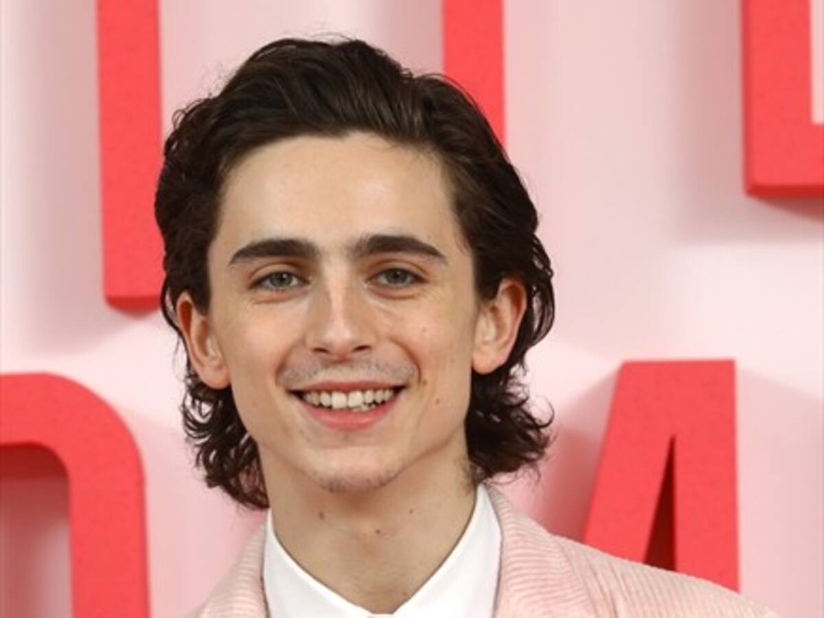 Timothée Chalamet interpretará a Bob Dylan en su película autobiográfica