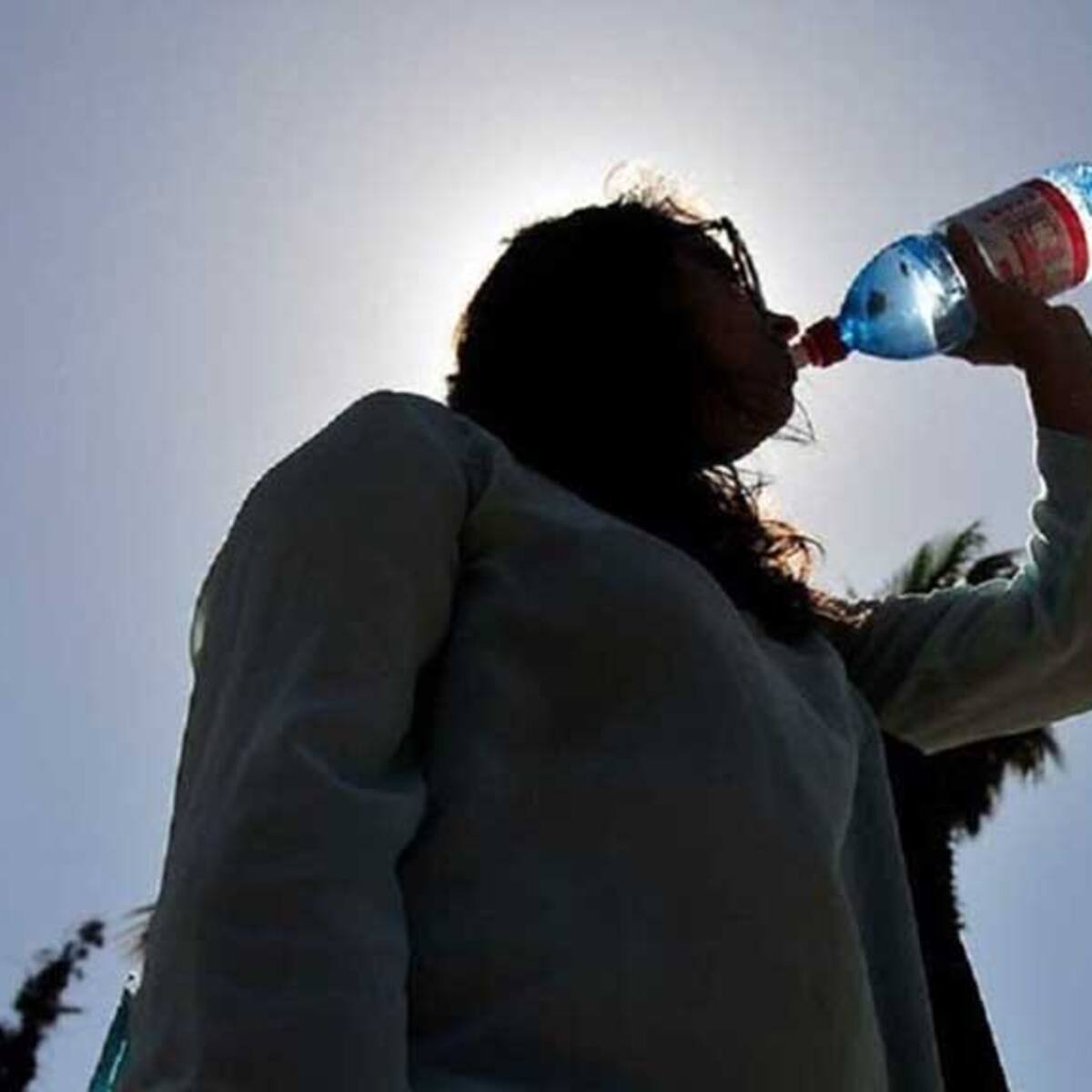 El tiempo para este sábado 28 de enero: Dirección Meteorológica proyecta una máxima de 35° para la capital