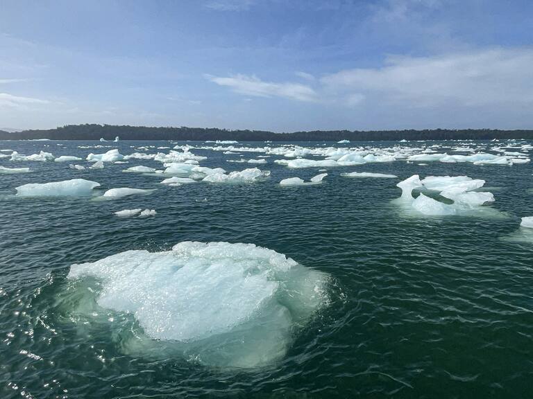 Constanza Espinosa - TNA