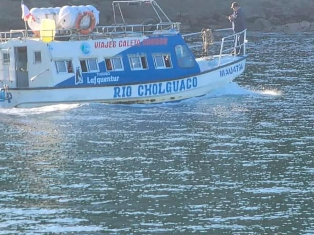 “Nunca fueron advertidos”: Ejército asegura que suboficiales desconocían el sobrecupo antes de subir a lancha que naufragó en Bahía Mansa