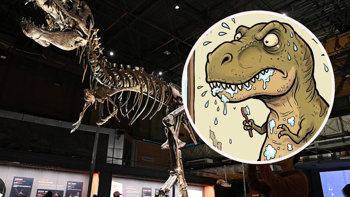 Nueva investigación revela la teoría definitiva sobre los brazos cortos del Tyrannosaurus rex