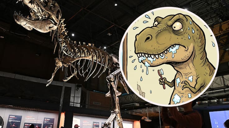Nueva investigación revela la teoría definitiva sobre los brazos cortos del Tyrannosaurus rex