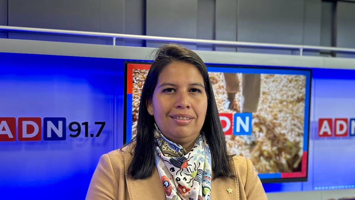 RN reconoce problemas de coordinación en el Gobierno tras críticas de Paulina Núñez: “Lo venimos planteando hace tiempo”