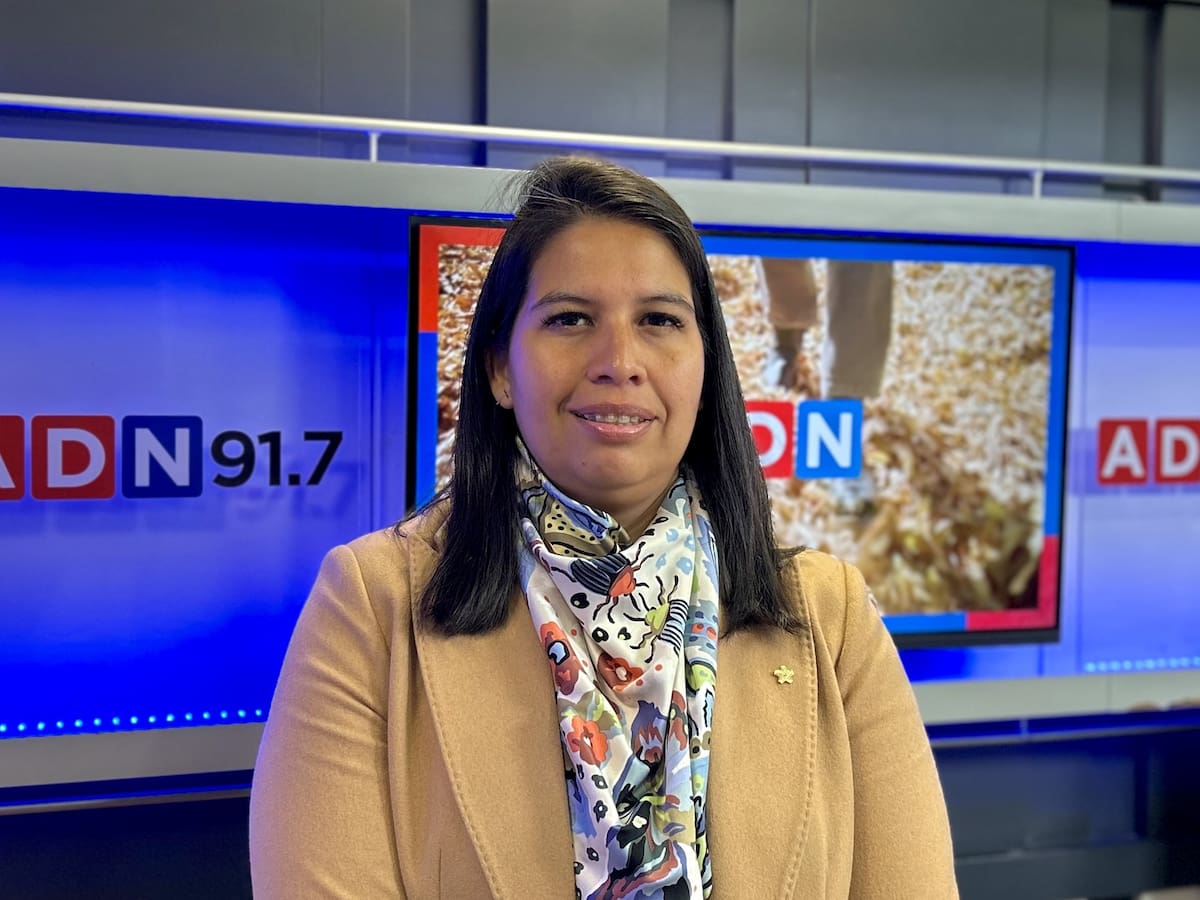 RN reconoce problemas de coordinación en el Gobierno tras críticas de Paulina Núñez: “Lo venimos planteando hace tiempo”