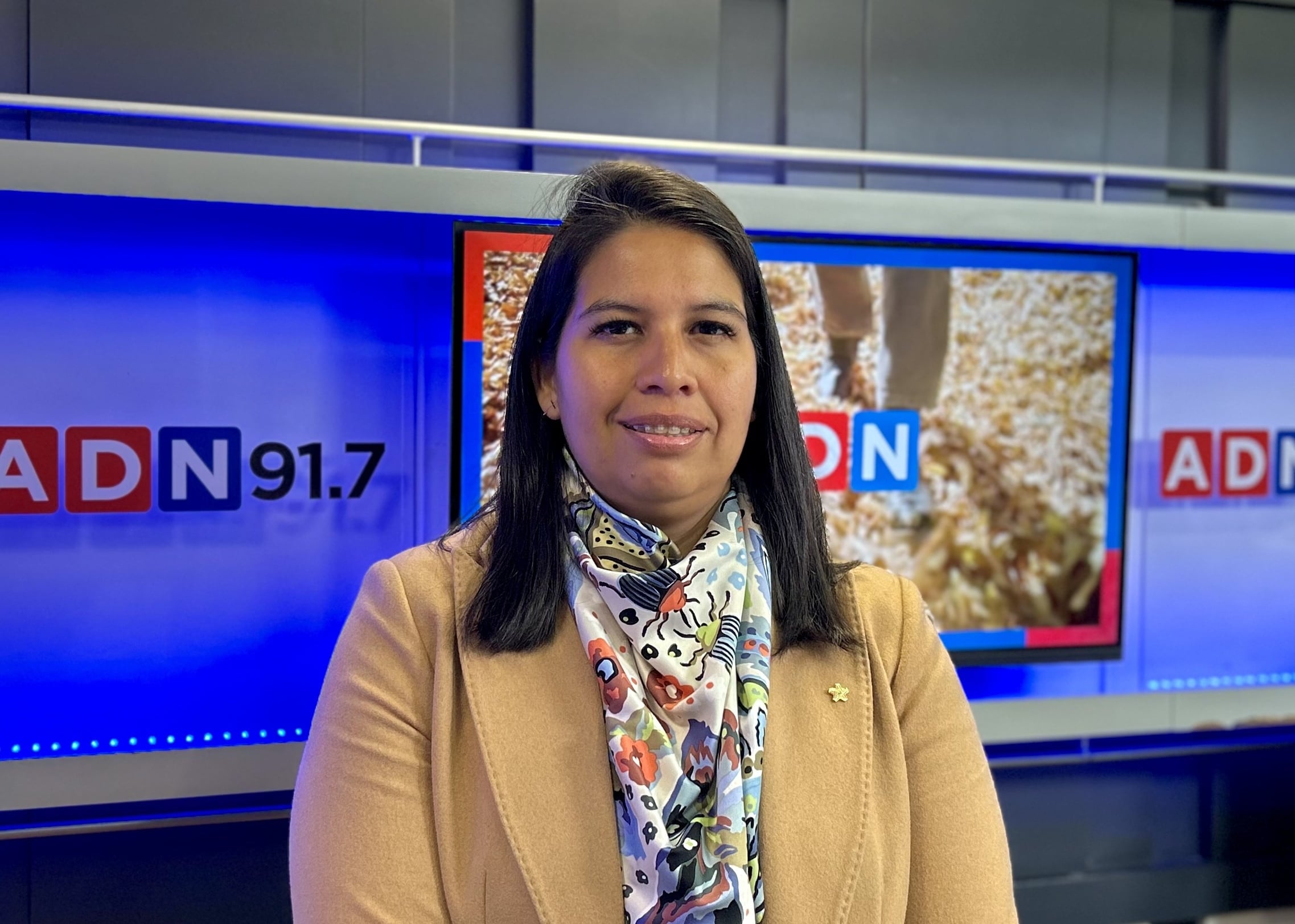 RN reconoce problemas de coordinación en el Gobierno tras críticas de Paulina Núñez: “Lo venimos planteando hace tiempo”