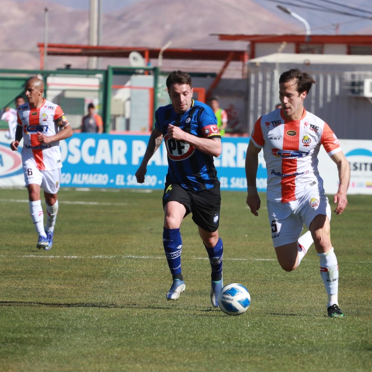 La batalla final: las opciones que tienen Cobresal y Huachipato para ser campeones del torneo 2023