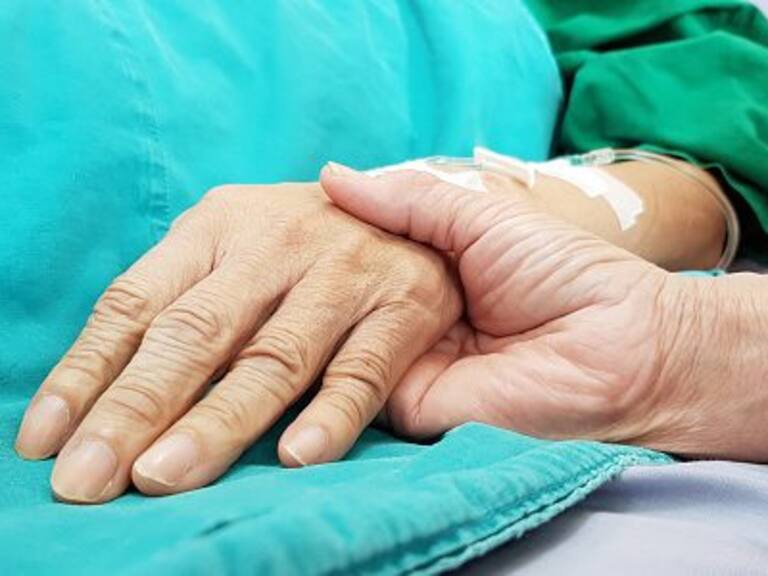 Cámara de Diputados vota el proyecto de ley de eutanasia